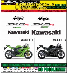 ZX-6R NINJA 2012 - 2015